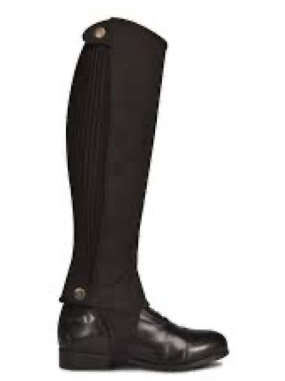 OVATION WOMEN'S EURO MELANGE ZIP FRONT KNEE PATCH COTTON BREECHES - Picture 4 of 4